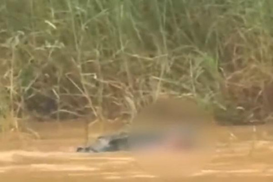 Kinh hoàng: Người phụ nữ bị cá sấu ăn thịt khi tắm sông