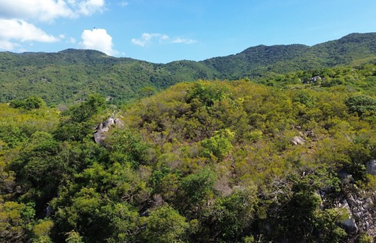 Khám phá vẻ đẹp Khu dự trữ sinh quyển thế giới Núi Chúa (Ninh Thuận)