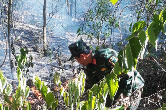 Cháy rừng suốt 4 giờ, hơn 10 hecta keo bị thiêu rụi