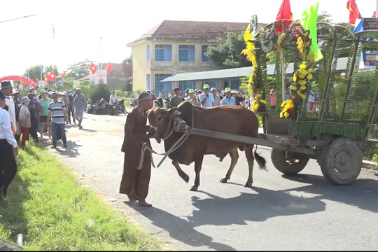 Giải đua xe bò độc nhất vô nhị ở Khánh Hòa