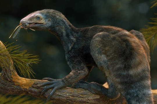 Phát hiện sinh vật cổ đại 230 triệu năm tuổi tại Brazil