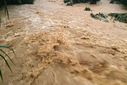 Nước cuồn cuộn đổ về TP Bảo Lộc, có nơi ngập lút xe máy