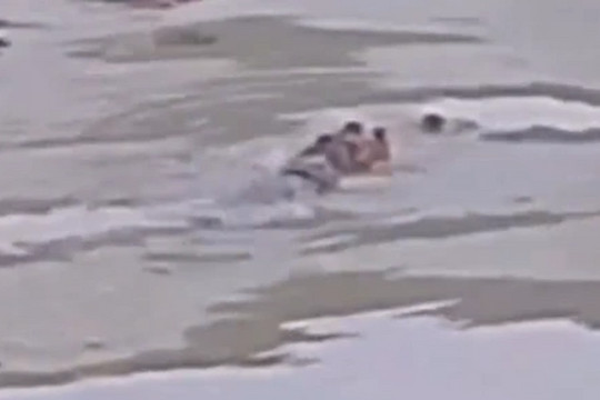 Đang vây bắt con cá sấu nổi trên kênh ở Bạc Liêu