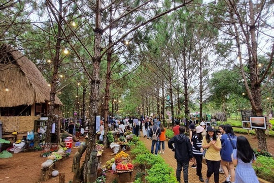 Khu du lịch sinh thái Quốc gia Măng Đen đón hàng chục ngàn du khách
