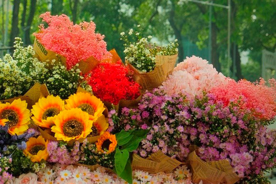 Xe hoa 'mùa thu Hà Nội' xuống phố Sài Gòn