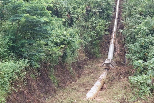 Điều tra nghi vấn phun thuốc diệt cỏ khiến 26 người đi cấp cứu ở Điện Biên