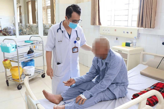 Hy hữu: Bệnh nhân sốc phản vệ độ 3 do bị kiến cắn tại Quảng Ninh