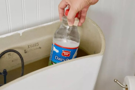 Đặt chai nhựa vào bể chứa nước bồn cầu có tác dụng gì?