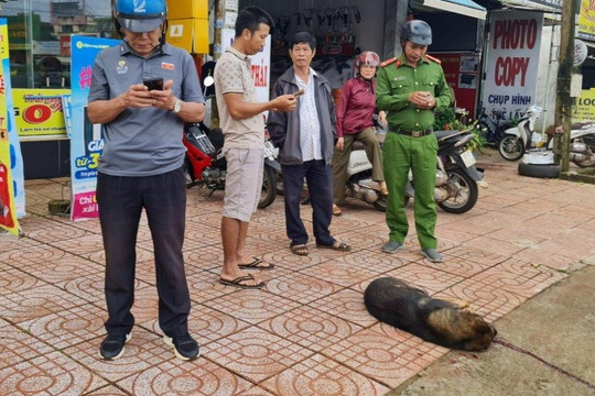 Con chó tấn công 2 học sinh ở Đắk Nông mắc virus bệnh dại