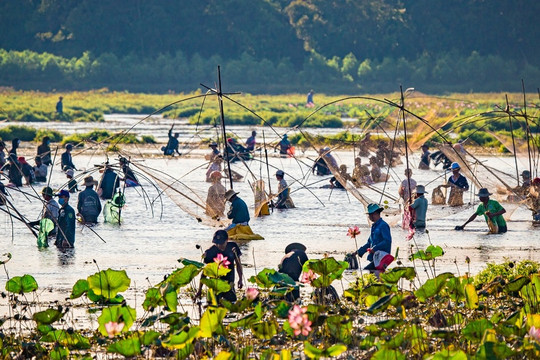 Độc đáo Lễ hội Phá trằm, cả trăm người lội bùn bắt cá