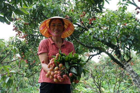 Phát triển du lịch nông thôn thành thương hiệu của Việt Nam