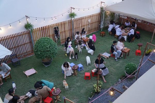 Độc lạ quán cà phê có 30 con chó 'chạy bàn' ở Cần Thơ
