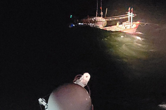 Mưa lớn ở Đà Nẵng: Cứu sống 14 thuyền viên bị chìm tàu
