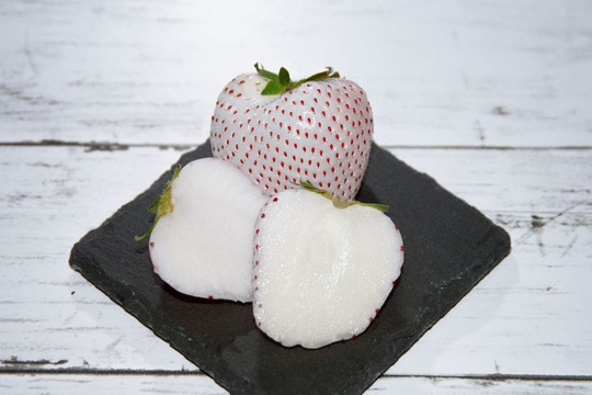 Bí mật thú vị về loại dâu tây Bạch Tuyết Nhật Bản giá mỗi quả hàng trăm nghìn