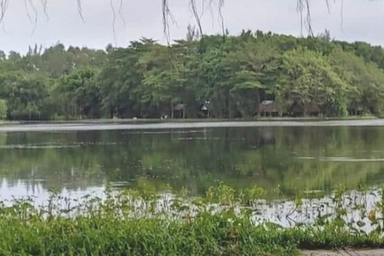Tạm đóng cửa công viên có cá sấu bị sổng chuồng ở Kiên Giang