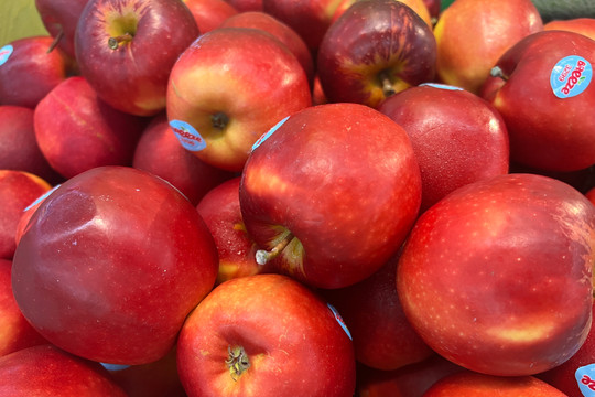 Những loại trái cây giúp thải độc tố cho cơ thể