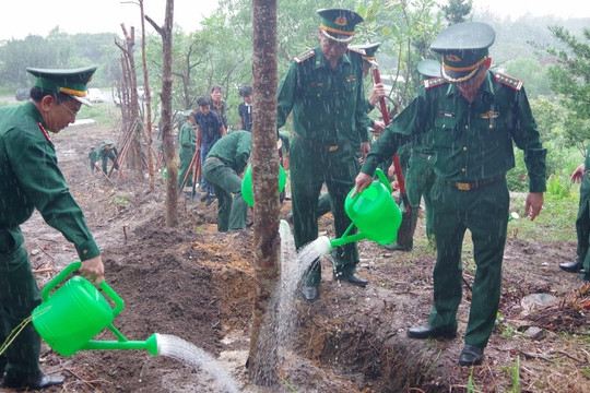 Trồng cây xanh ở Vũng Chùa - Đảo Yến, tri ân Đại tướng Võ Nguyên Giáp