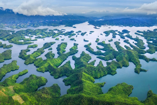 Vườn Quốc gia Tà Đùng - Kì quan ấn tượng giữa đại ngàn Tây Nguyên