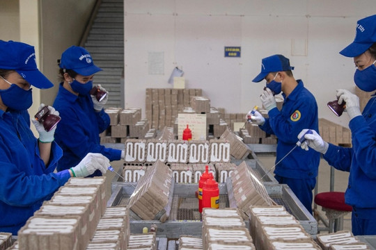 Cận cảnh quy trình sản xuất pháo hoa Việt Nam tại Nhà máy Z121