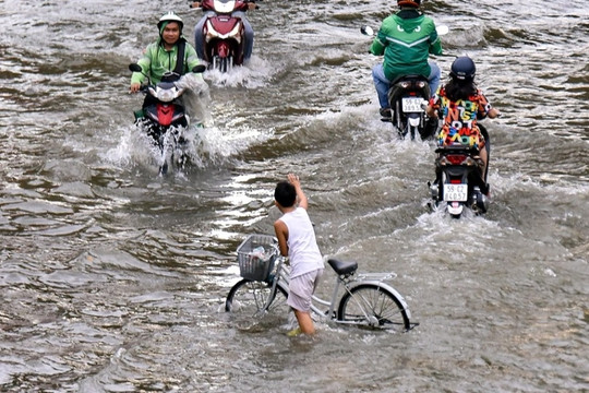 Nước tràn khắp ngõ hẻm TPHCM do đỉnh triều cuối tuần