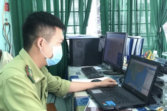 Công nghệ số trong quản lý, bảo vệ rừng ở Bình Định