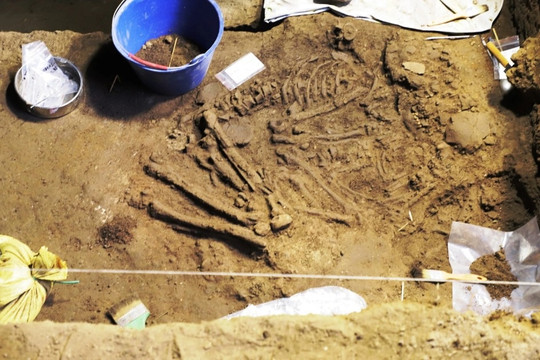 Di cốt người niên đại 10.000 năm được phát hiện tại Hà Nam