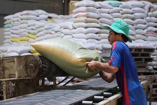 Giá gạo Việt Nam cao nhất 15 năm, bỏ xa Thái Lan
