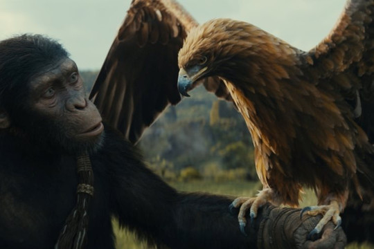 ‘Hành tinh khỉ: Vương quốc mới’ tung trailer hoành tráng