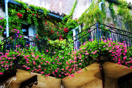 Những ngôi nhà có ban công đầy hoa khiến bạn không thể thôi ngắm nhìn