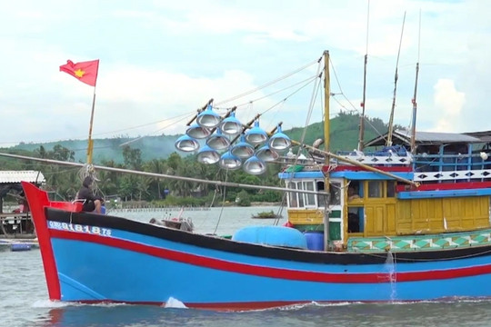 Quảng Ngãi đề xuất cấm đánh bắt hải sản có thời hạn