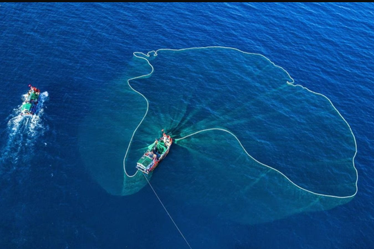 Vũ điệu quăng lưới của ngư dân trên biển Lý Sơn