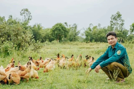9x Quảng Bình mày mò ứng dụng kỹ thuật nuôi gà mới, kiếm tiền tỷ mỗi năm