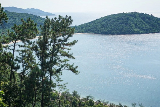 Đà Nẵng chuyển mục đích gần 80ha đất rừng trồng sang làm dự án