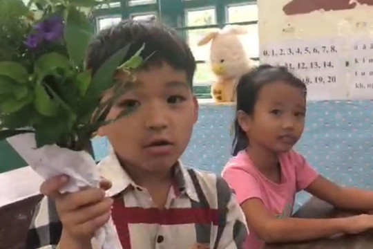 Học trò vùng cao tặng hoa rừng tri ân thầy cô ngày Nhà giáo Việt Nam
