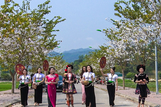 Tuần lễ Văn hóa, Du lịch Điện Biên tại TP.HCM sẽ diễn ra vào đầu tháng 12