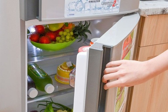 Trong tủ lạnh có một nút nhỏ mà người dùng nên điều chỉnh vào mùa đông: Giúp tiết kiệm "cơ số" tiền điện