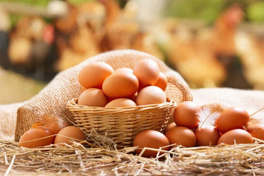 Khi mua trứng nên chọn quả to hay quả nhỏ?