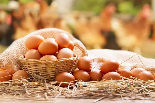 Khi mua trứng nên chọn trứng to hay nhỏ?