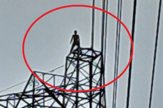 Người đàn ông miền Tây tay không leo đỉnh trụ điện cao thế 500kV