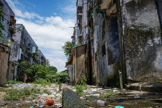Lối thoát cho chung cư chờ sập, ngập rác và chuột ở Đà Nẵng