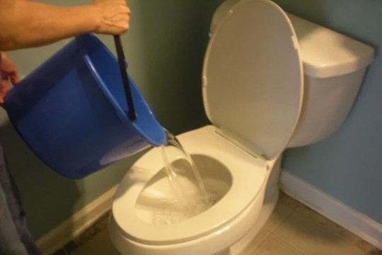 Tại sao không nên đổ nước thải sinh hoạt vào toilet?