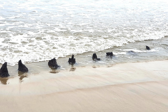 Đề xuất khai quật xác tàu cổ ở bãi biển Hội An