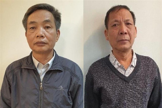 Bắt hai người trong Hội đồng thành viên Tổng Công ty Chè Việt Nam