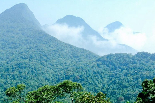 Chuyên gia lên tiếng về việc 'xén' đất Vườn quốc gia Tam Đảo làm dự án