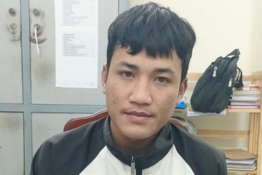 Ninh Thuận: Bắt kẻ dùng máy đào đè chết chỉ huy công trình
