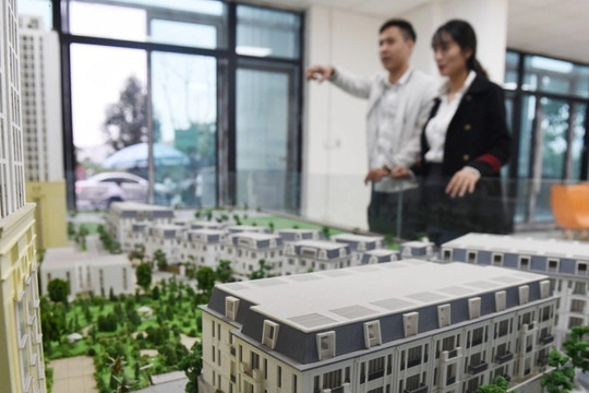 Làm nghề gì mua được chung cư 3 tỷ đồng tại Hà Nội, TPHCM nhanh nhất?