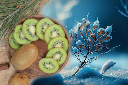 Những lợi ích sức khoẻ của việc ăn kiwi vào mùa đông