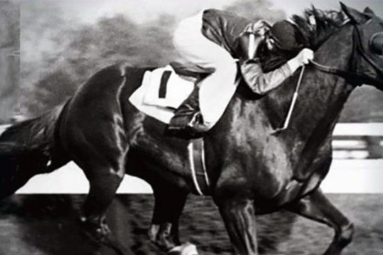 Chuyện kỳ lạ về Frank Hayes, nài ngựa duy nhất thắng cuộc đua khi đã qua đời