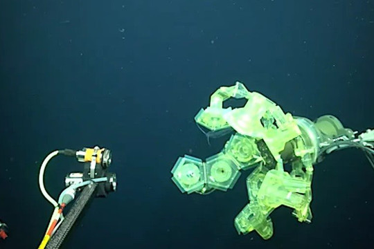 Công nghệ mới trong nghiên cứu sinh vật biển sâu vừa được công bố






