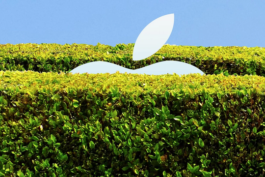 ‘Khu vườn khép kín’ của Apple đã bị xuyên thủng
